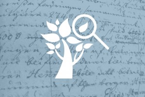 BDM promo tile BDM tree optimised