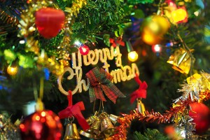 christmas tree 1081323 1920 Pixabay free image